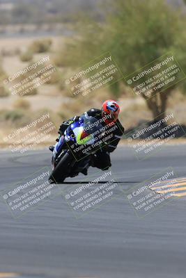 media/May-14-2023-SoCal Trackdays (Sun) [[024eb53b40]]/Turn 5 Tree of Life (1125am)/